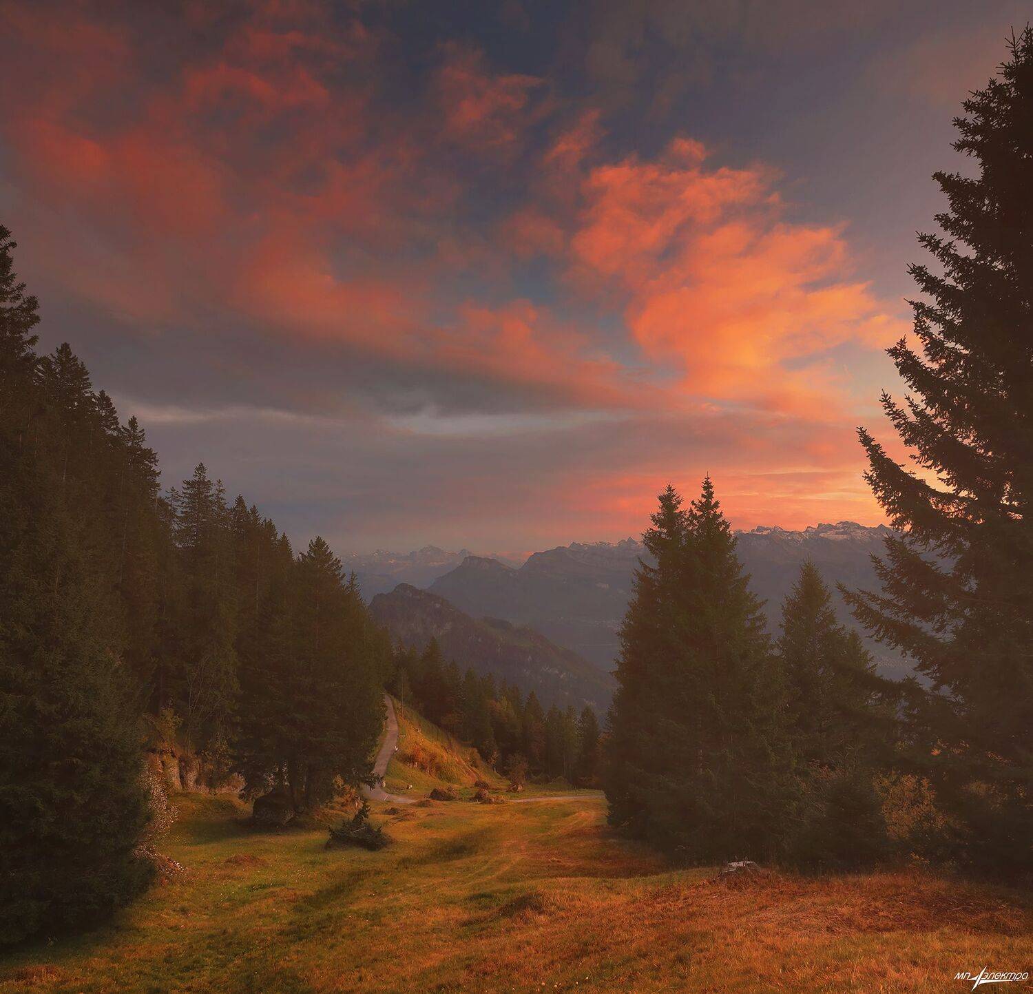 swiss,швейцария,осень,rigi, Николай Матвеев