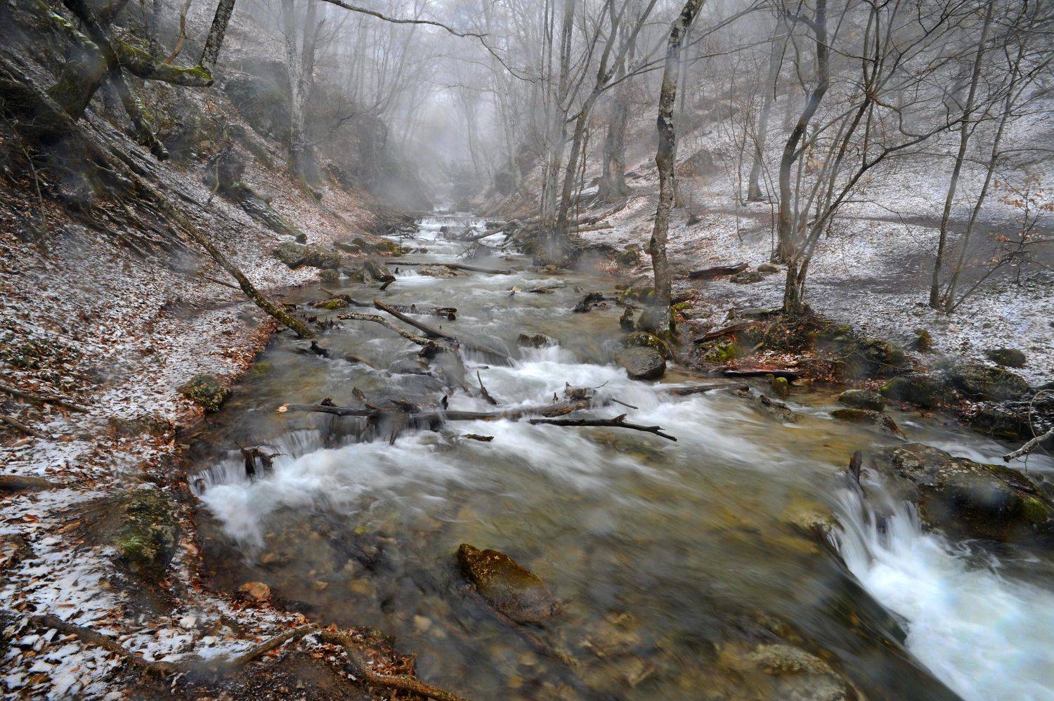 , Дарья Васильева