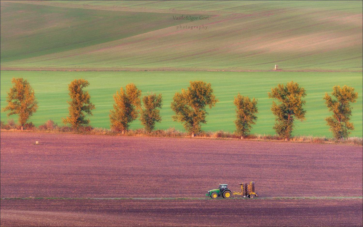 южная моравия,пейзаж,hils,линии,полевые работы,south moravian,lines,свет,czech,осень,чехия,трактор,landscapes., Гори Василий