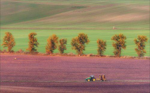 // ИСКАНДЕР //