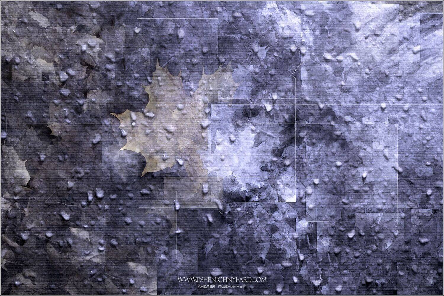 осень, кленовые листья, октябрь, дождь, капли воды, опавшая листва, минимализм, абстракция, Пшеничный Андрей