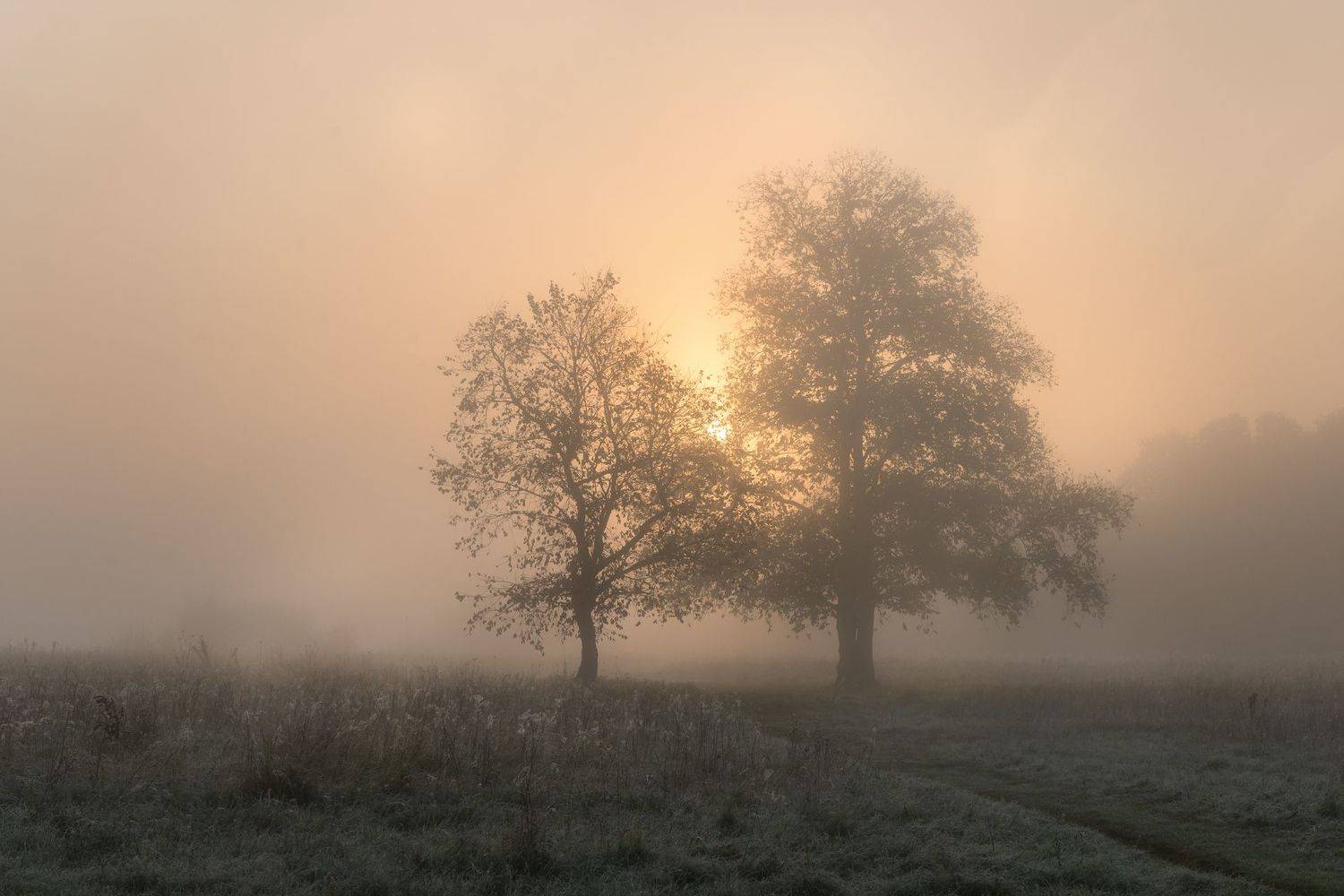 , Юлия Лаптева