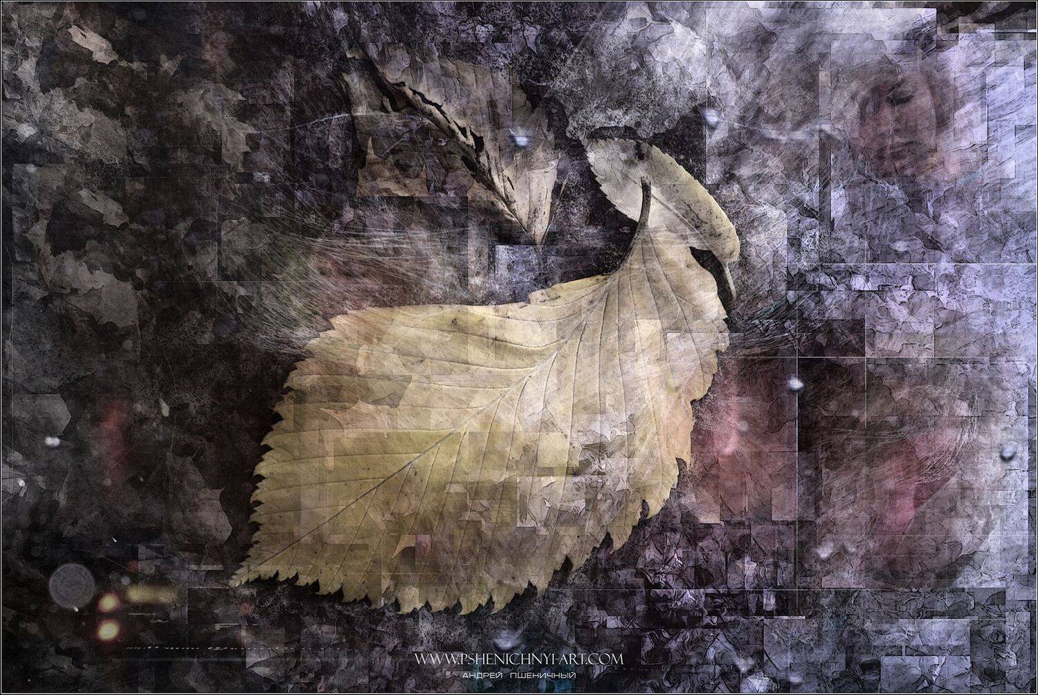 осень, октябрь, дождь, листва, ночной город, абстракция, Пшеничный Андрей