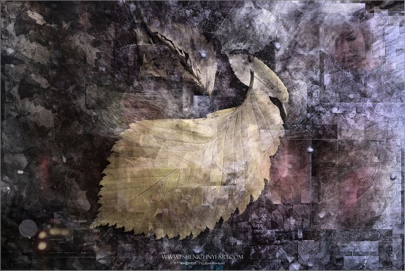 осень, октябрь, дождь, листва, ночной город, абстракция Осенние метаморфозы фото превью