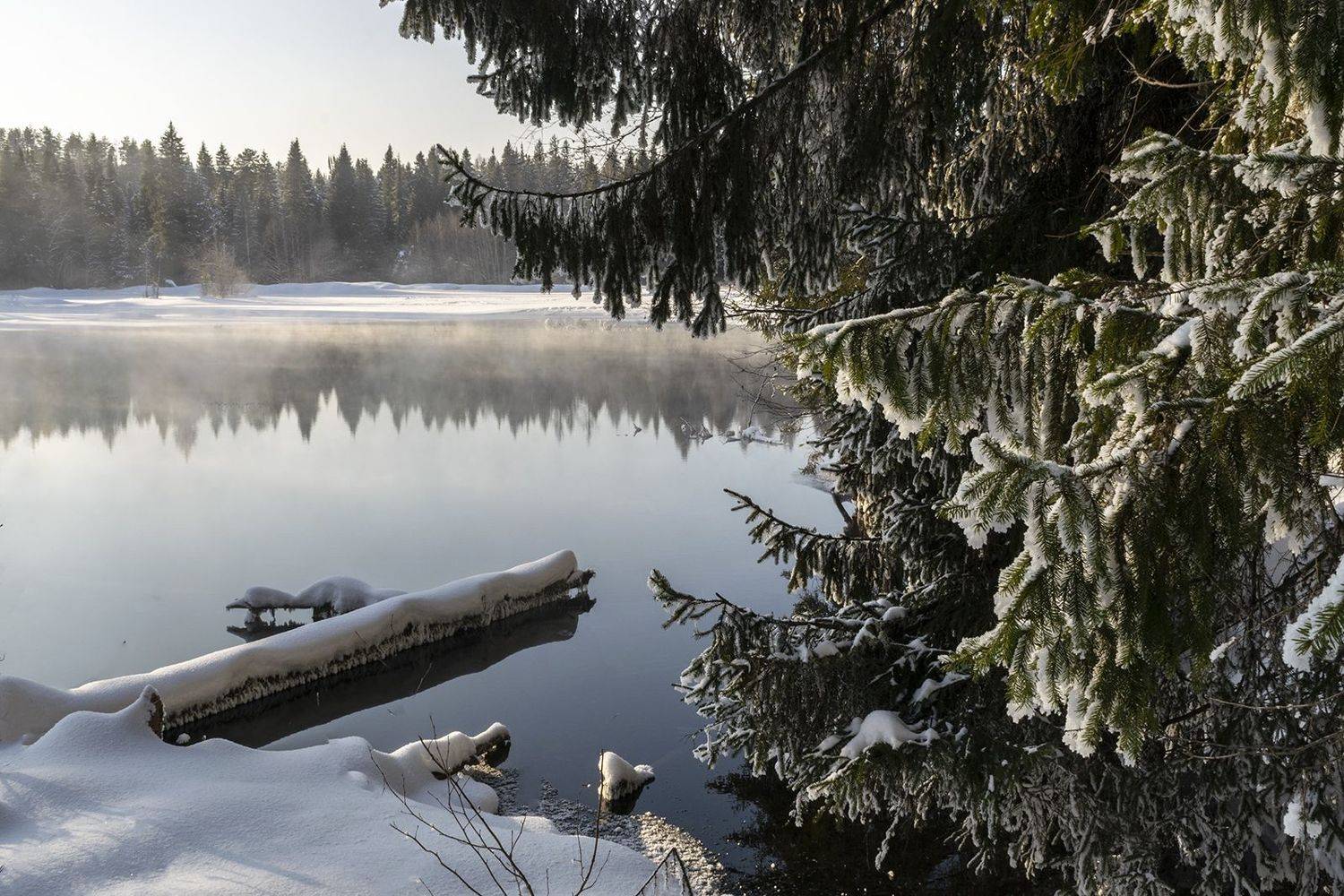 , Галина Луценко