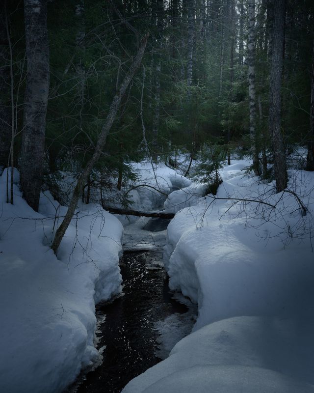 новгородская область, лесной ручей, весна, март Весеннее фото превью