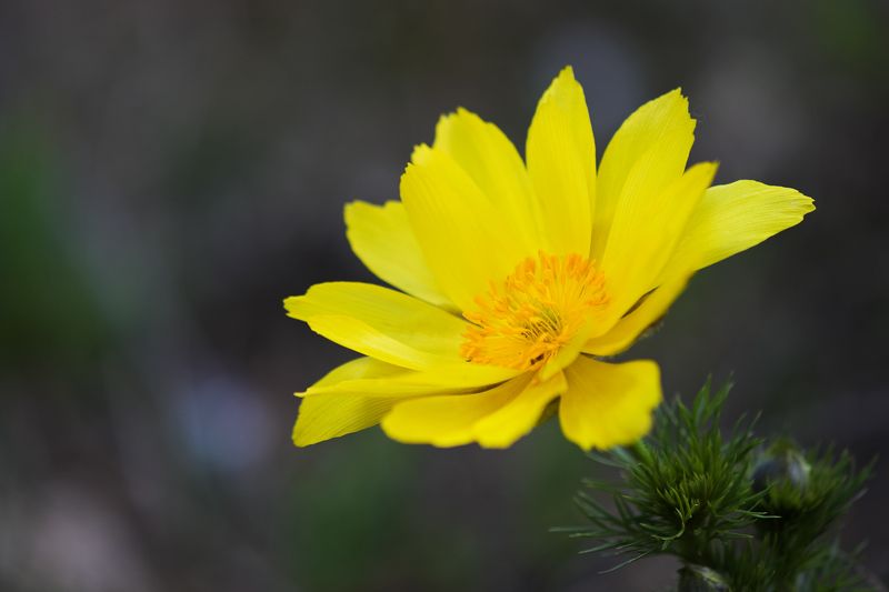 2023 фото превью