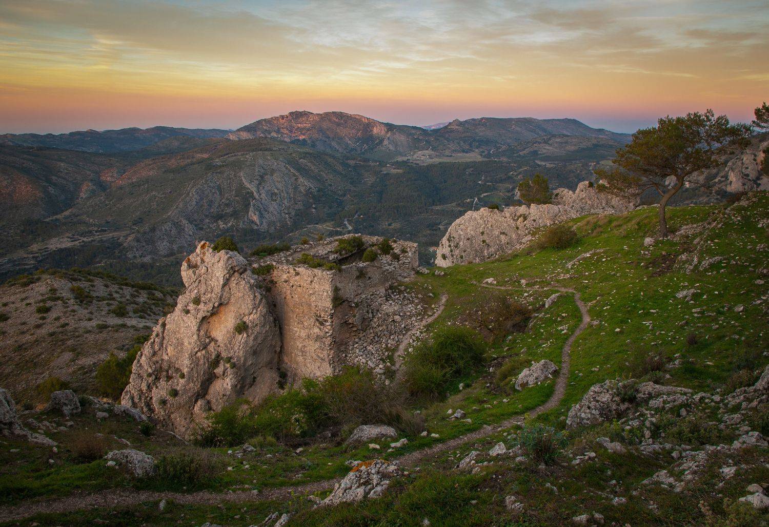 , Алекс Римский