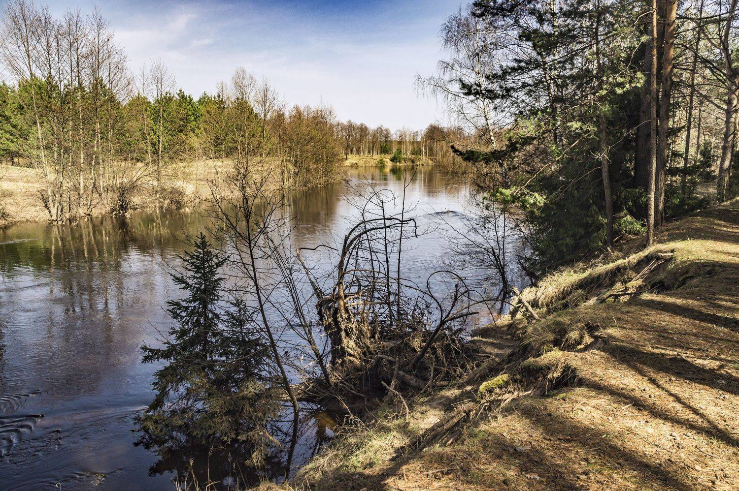 весна., Шитов Александр