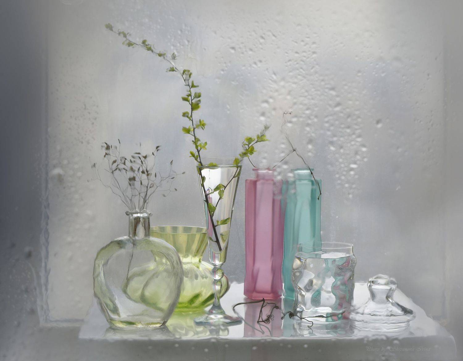 , Ирина Шипунова