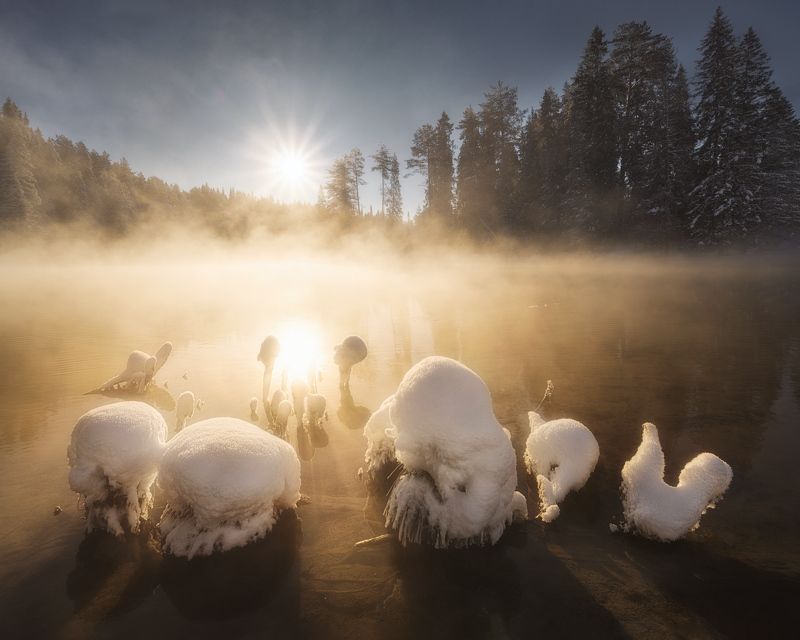 Зимний зефир фото превью