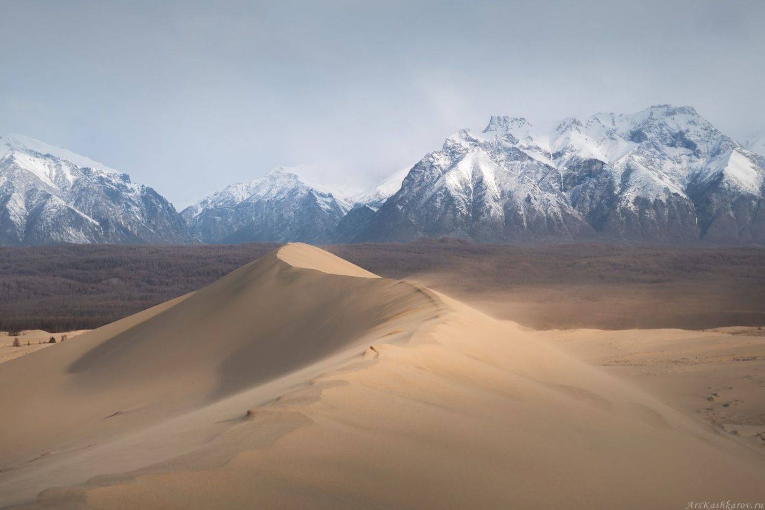 чарские пески, кодар, пустыня, сибирь, забайкальский край, дюна, бархан, Арсений Кашкаров