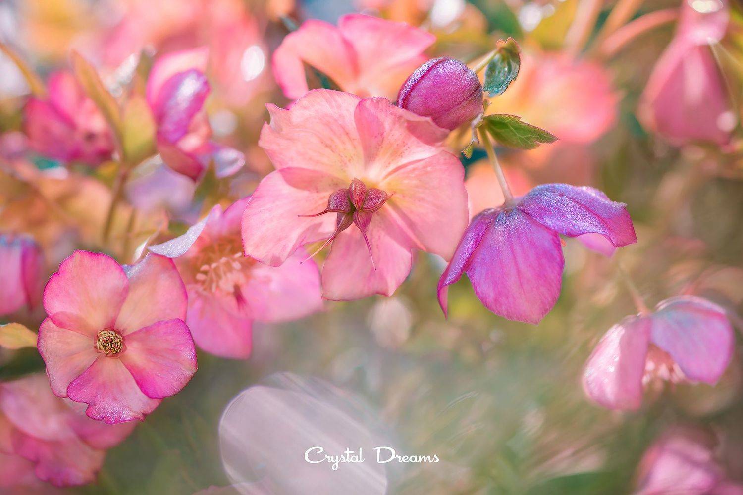 #art #macro #crystal_dreams #color #ditale, Татьяна Крылова