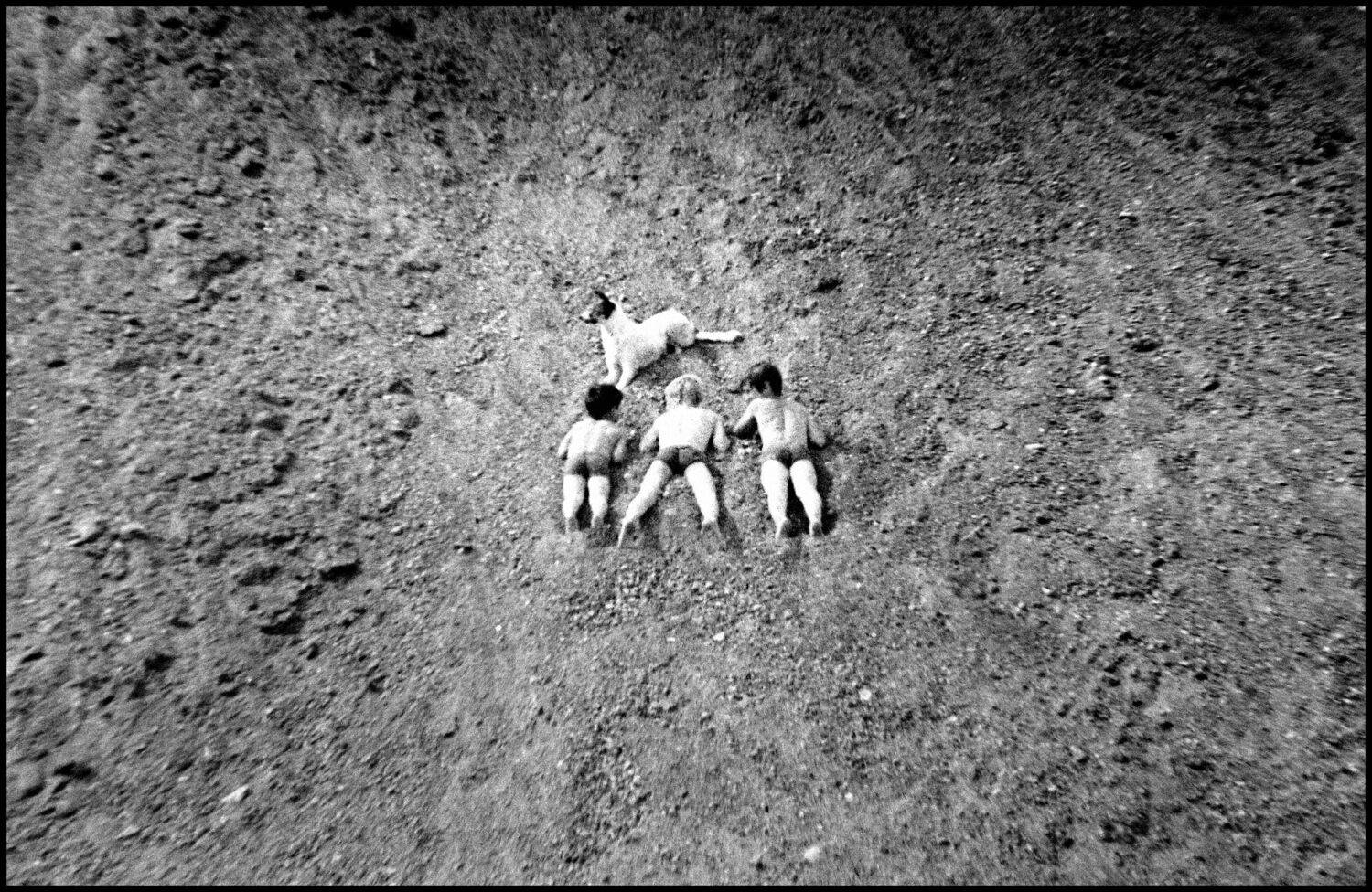 , Меднов Влад