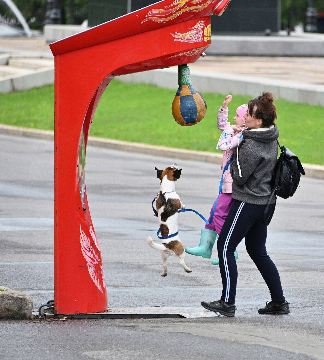 , Меднов Влад