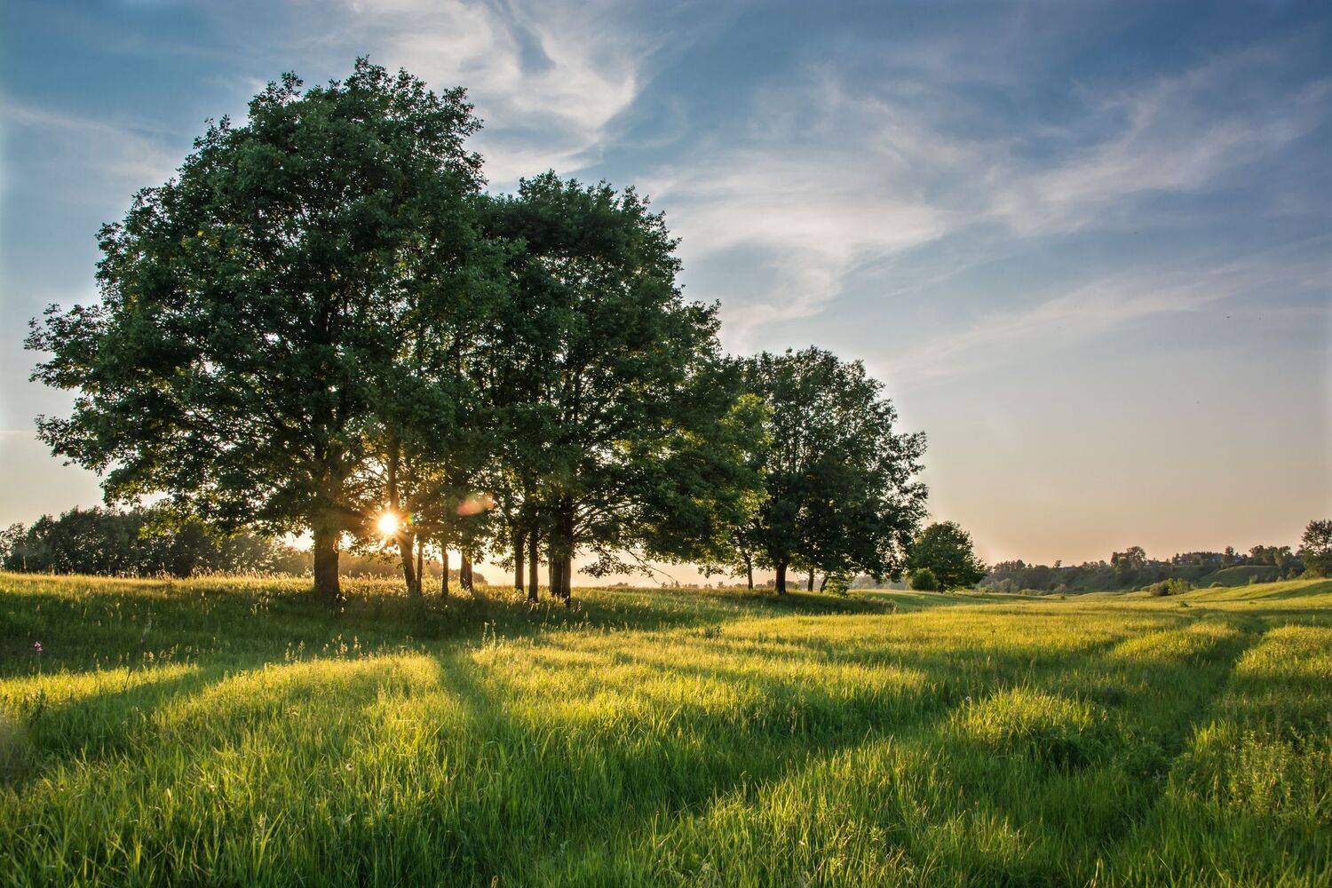 , Сергей Калёв