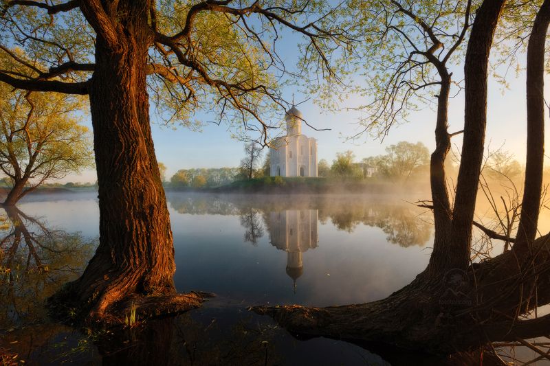 покрова на нерли, боголюбово, разлив Неповторимое утро фото превью