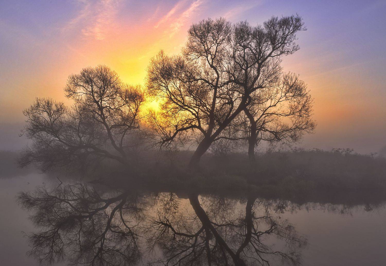 рассвет, туман, свислочь, Александр Гвоздь