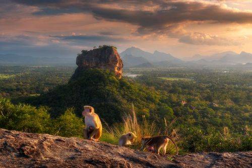 Сигирия и местные обитатели.