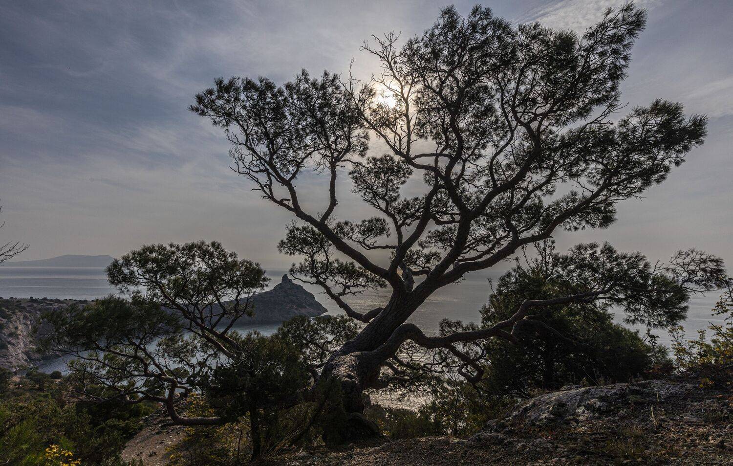 Крым, Сергей