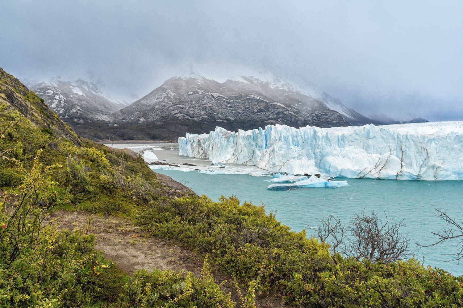 , Лариса Николаевна Дука