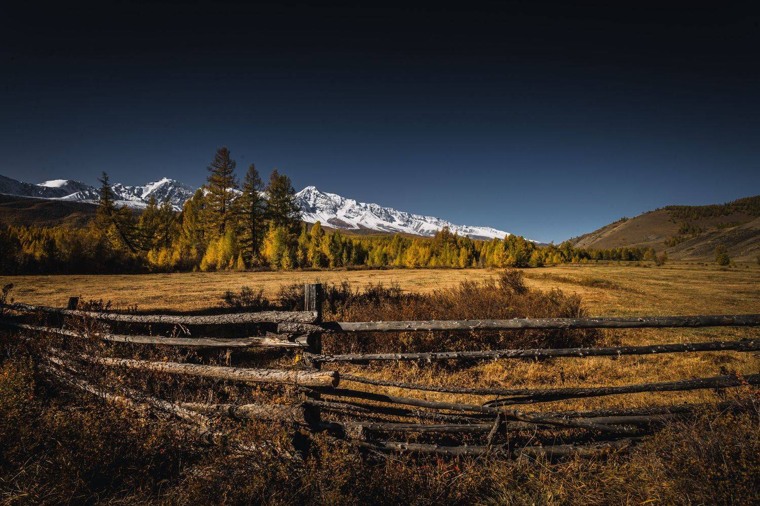 , Могилевич Elena