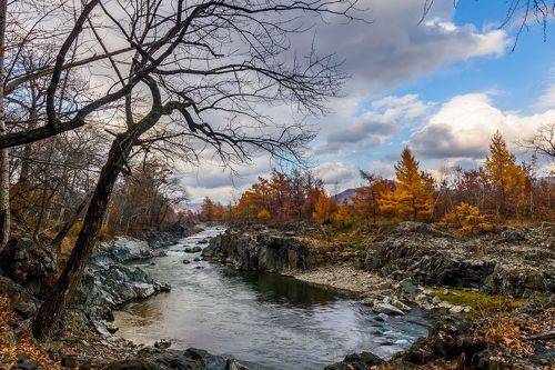 Осенние зарисовки