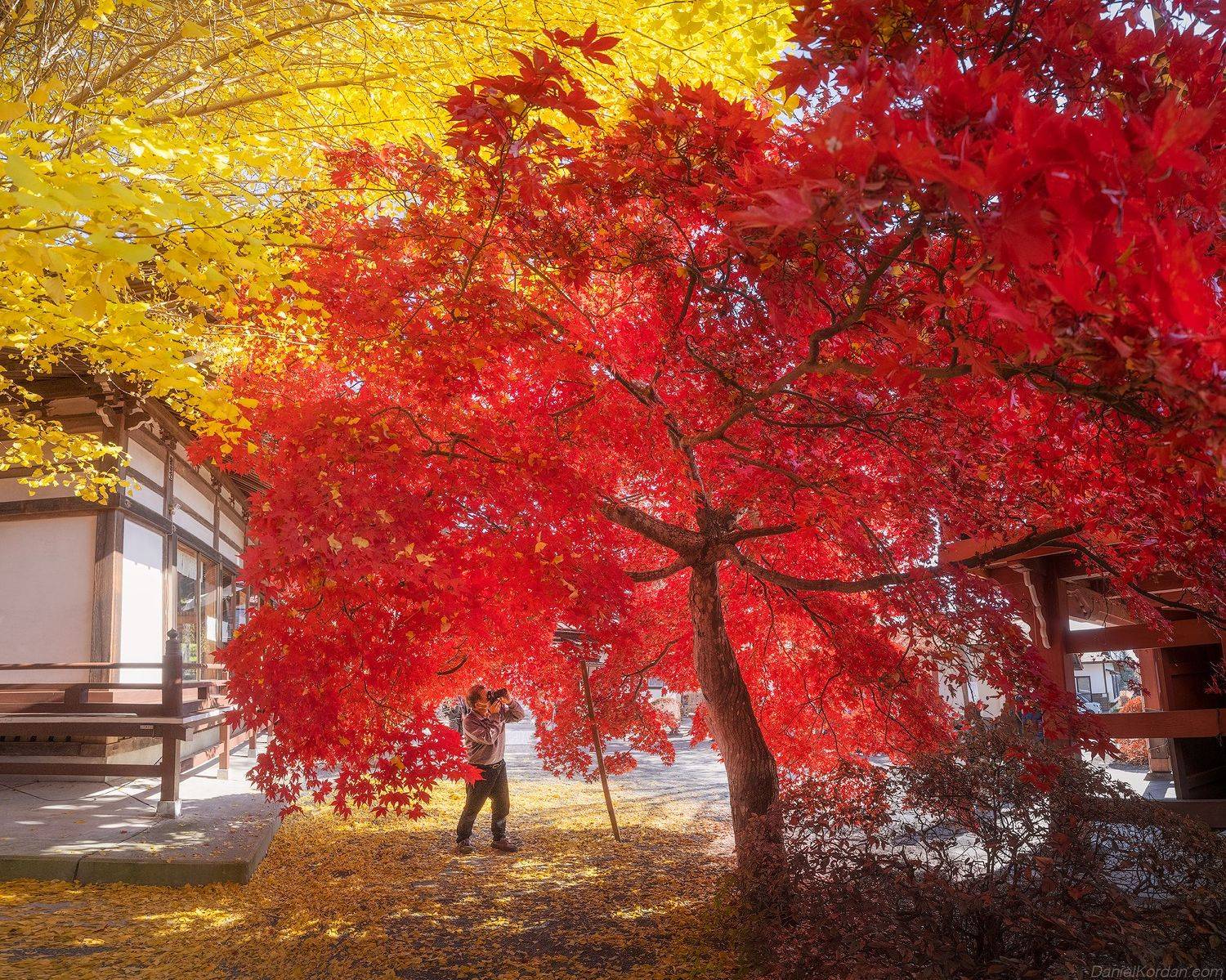 , Даниил Коржонов