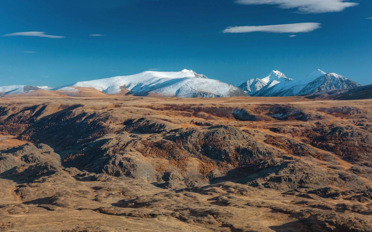 , Павел Глушков