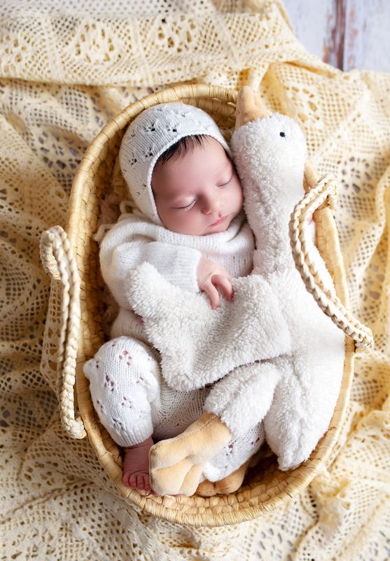 новорожденные  фото превью