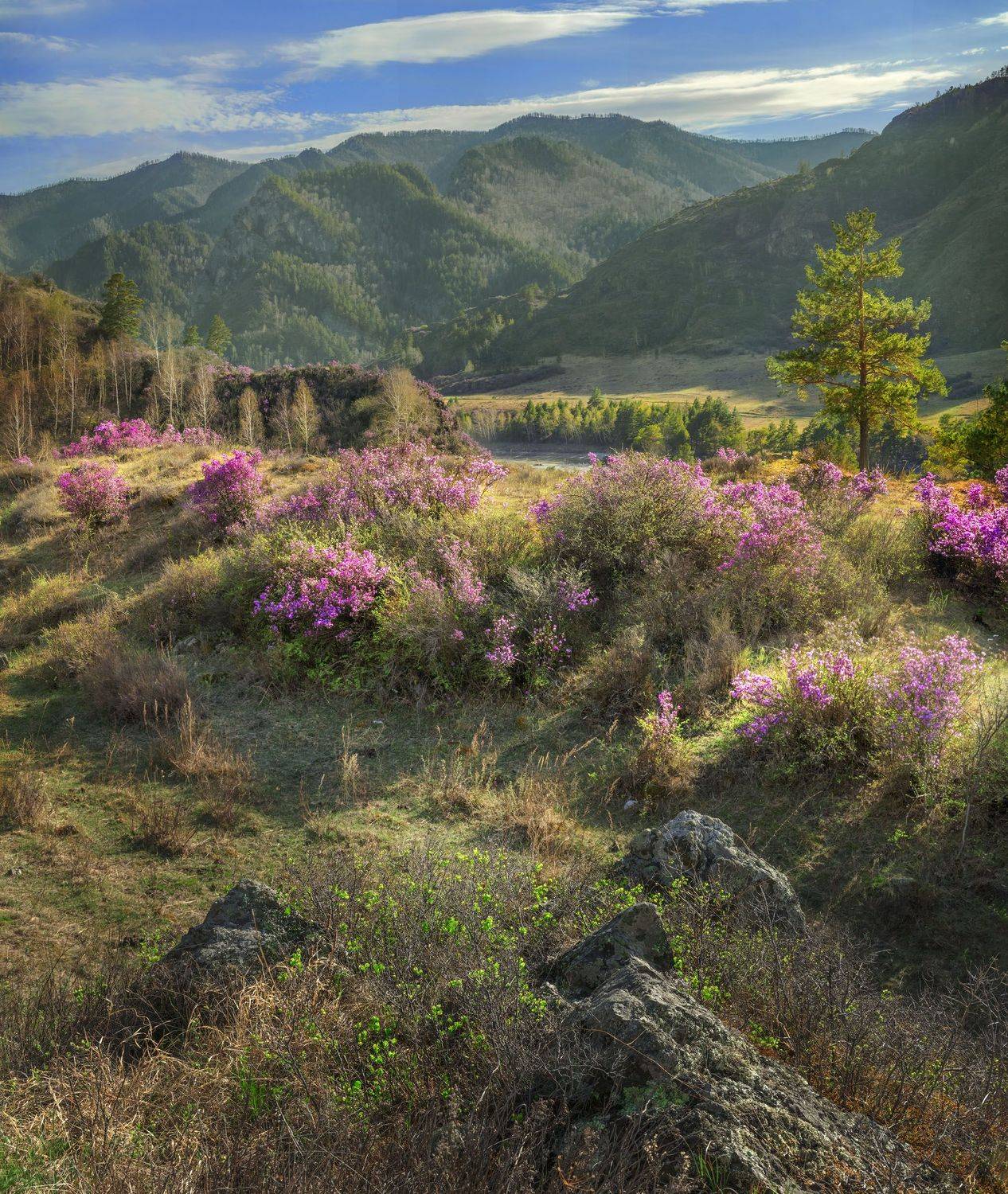 Фототуры с Владимиром Рябковым, #topnature #russpasibo #magic_shots #lovelyRussia #sunset_vision #exclusive_sky  #exclusive_shots #loves_russia2 #photoarena_nature #nature_sultans #nature_perfection #rsa_sky #rsa_sunset #photorussia #rsa_naturepics #sunse, Владимир Рябков