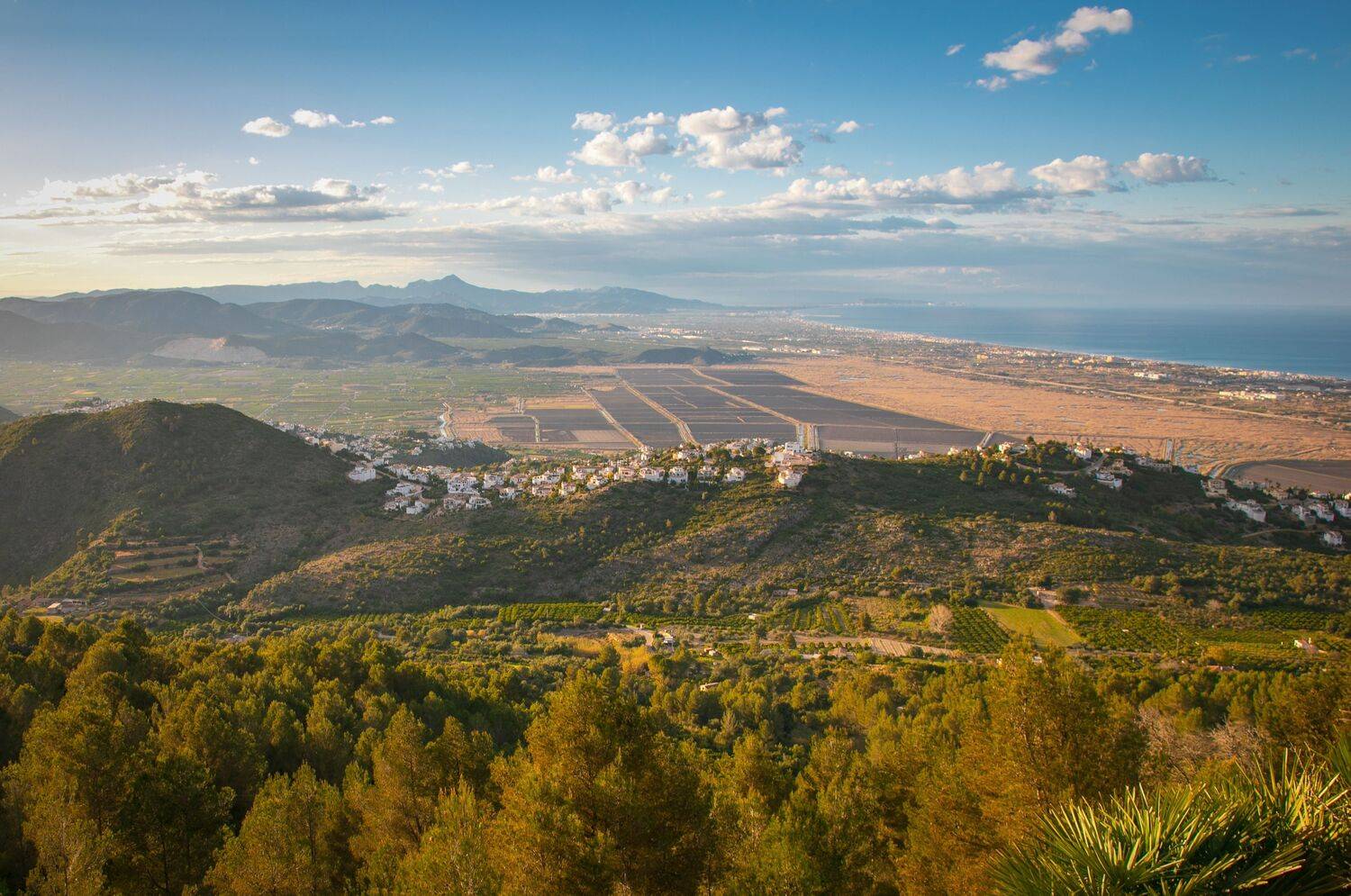 , Алекс Римский