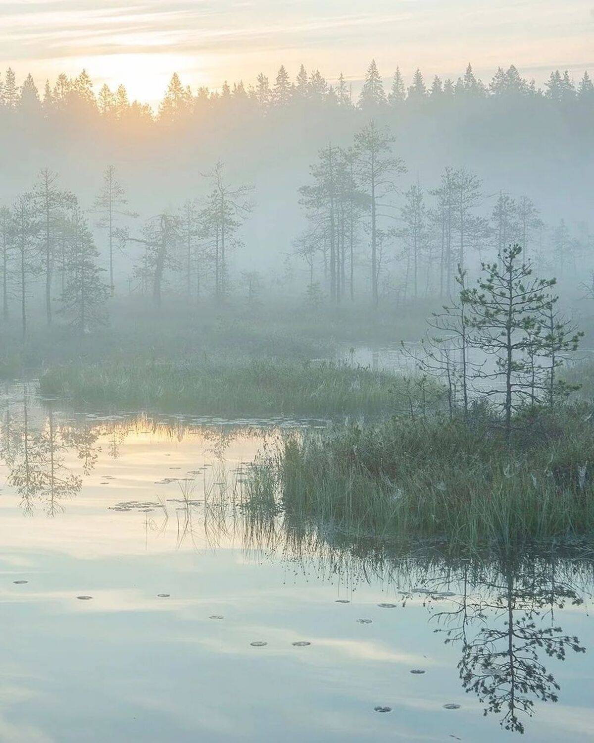 , Петр Косых