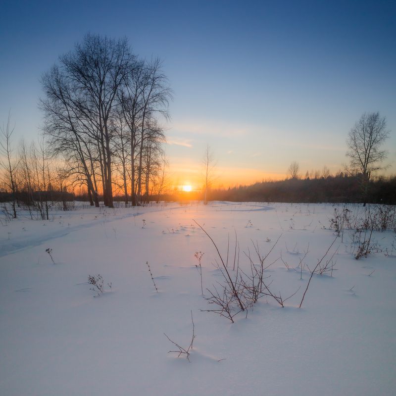 солнце, март, снег, весна, закат, деревья, Вятка, Киров, поле, лес, окраина, небо, сугроб, ярко, облака, красота Март фото превью