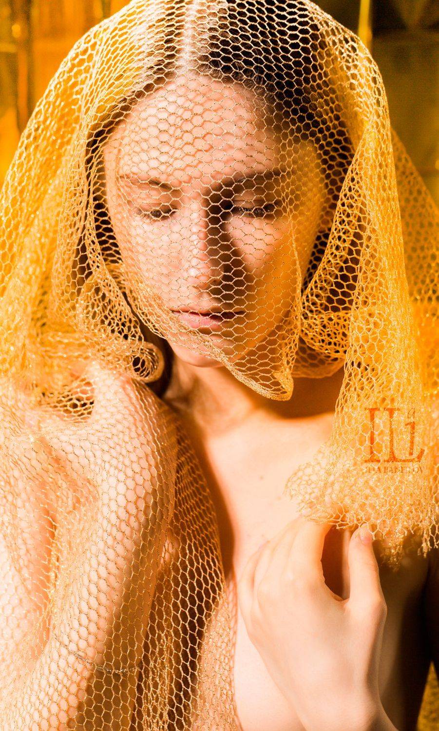 золото, потрет, соты, Илья Панфилов