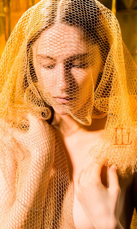золото, потрет, соты Медово-золотая фото превью