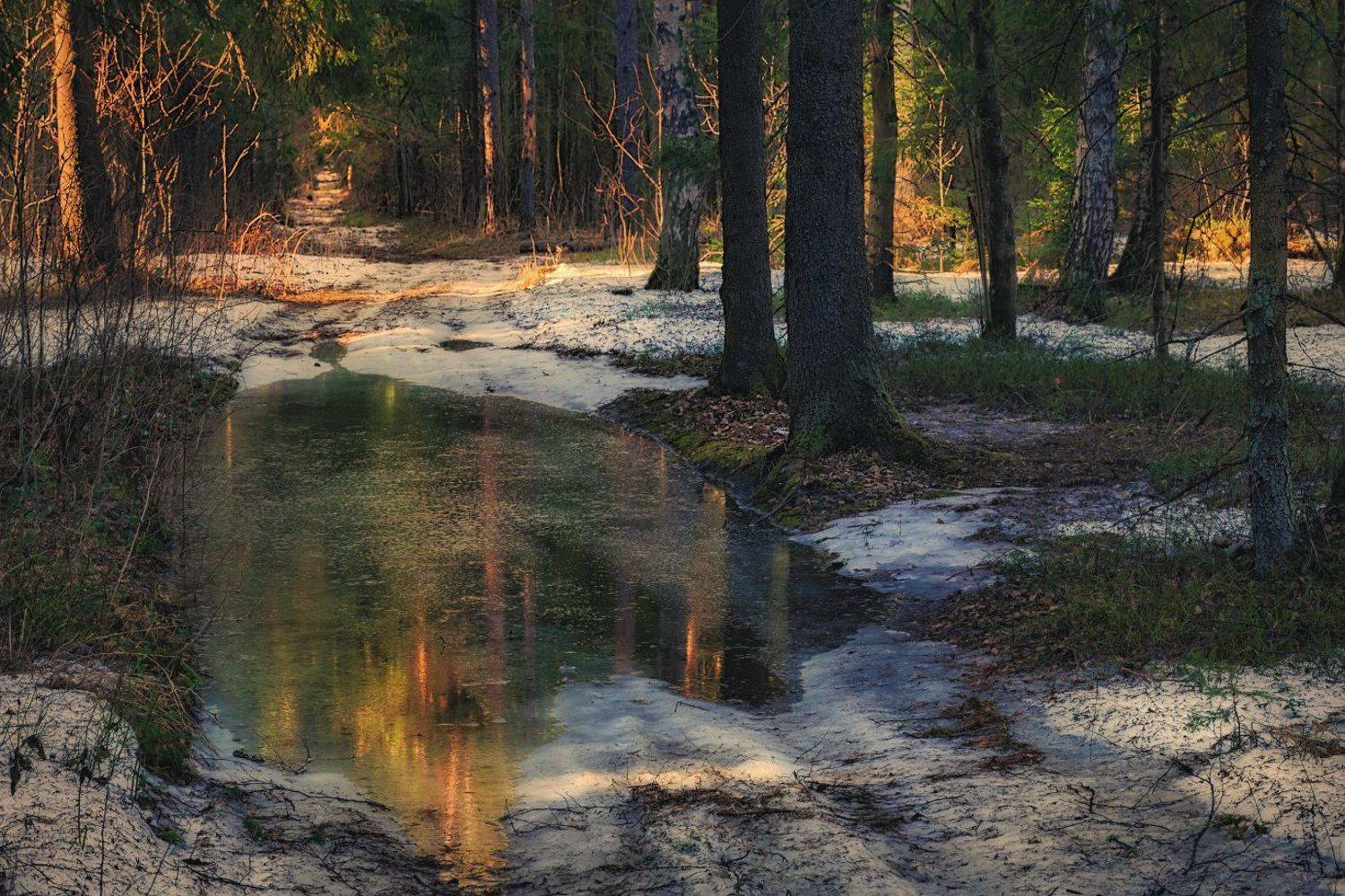 , Евгений Ерохин