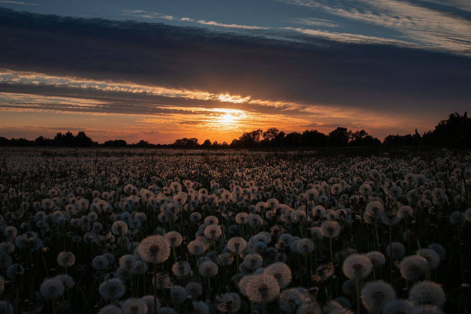 , Герасимова Елена