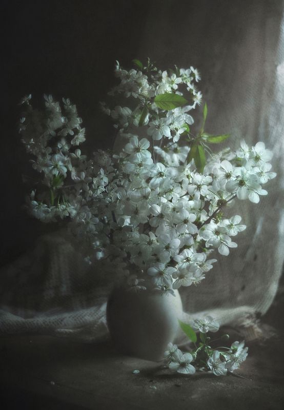 Лунная ночь фото превью