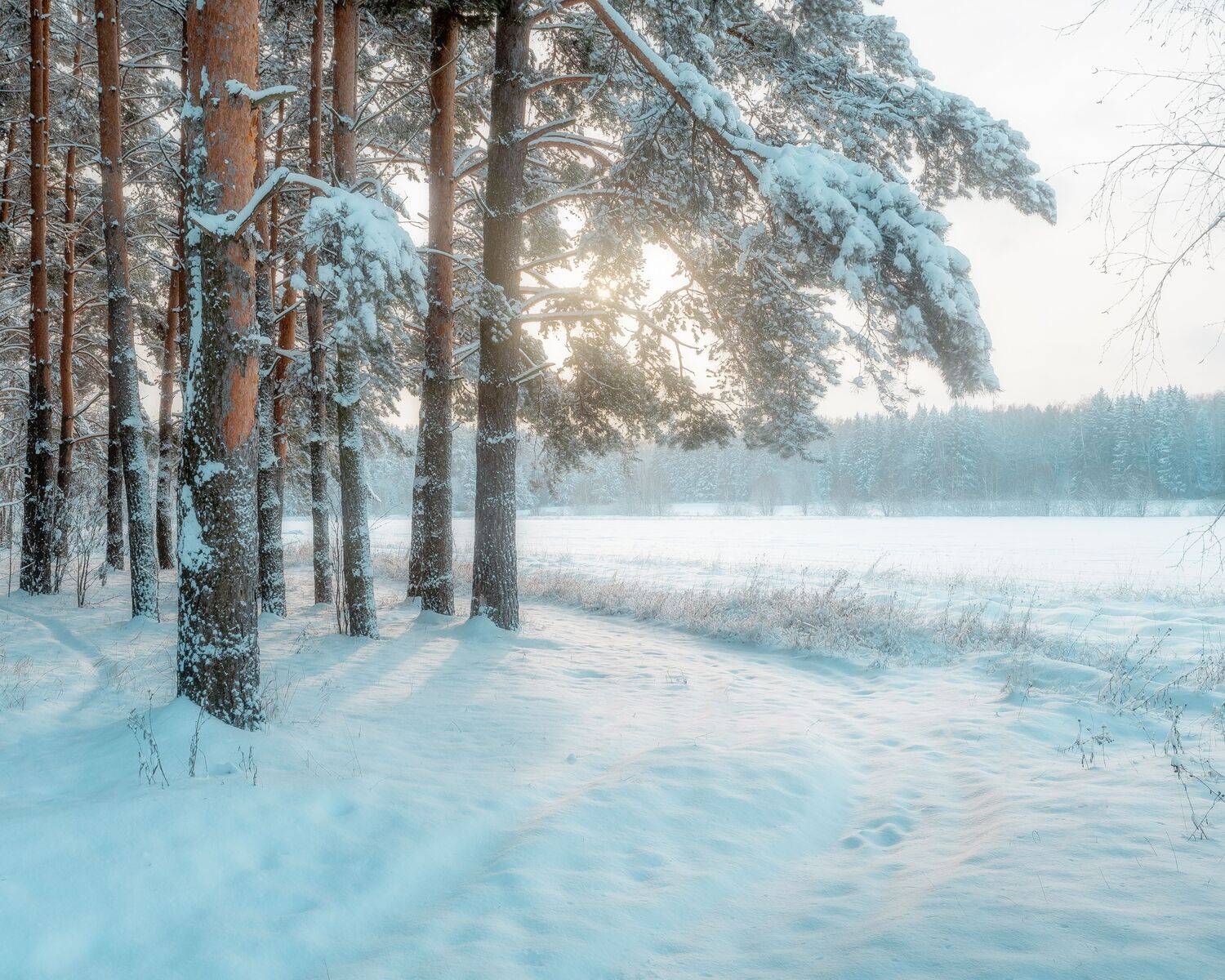 природа, пейзаж, зимний пейзаж, Мартыненко Дмитрий