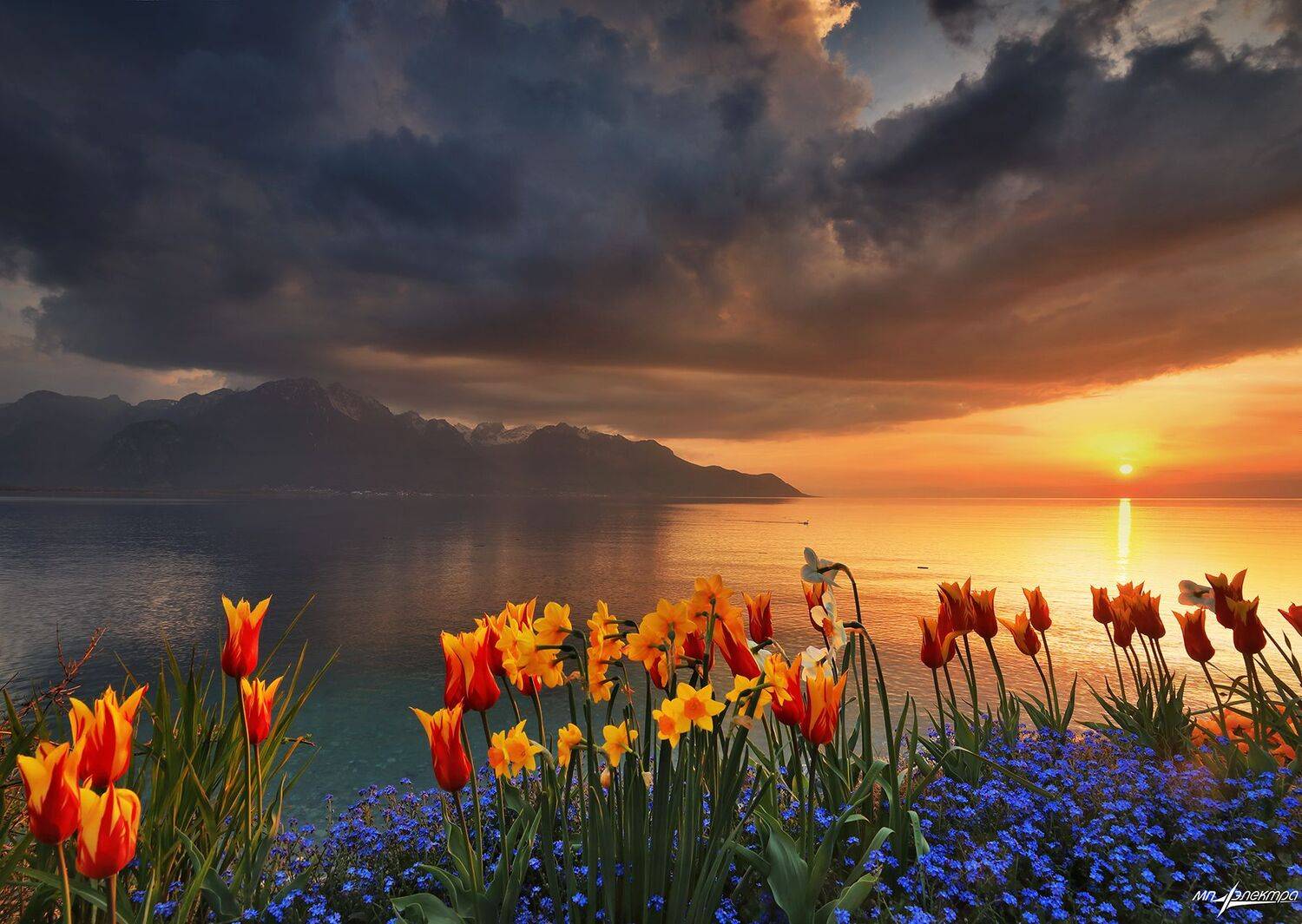 swiss,швейцария,весна,montreux, Николай Матвеев