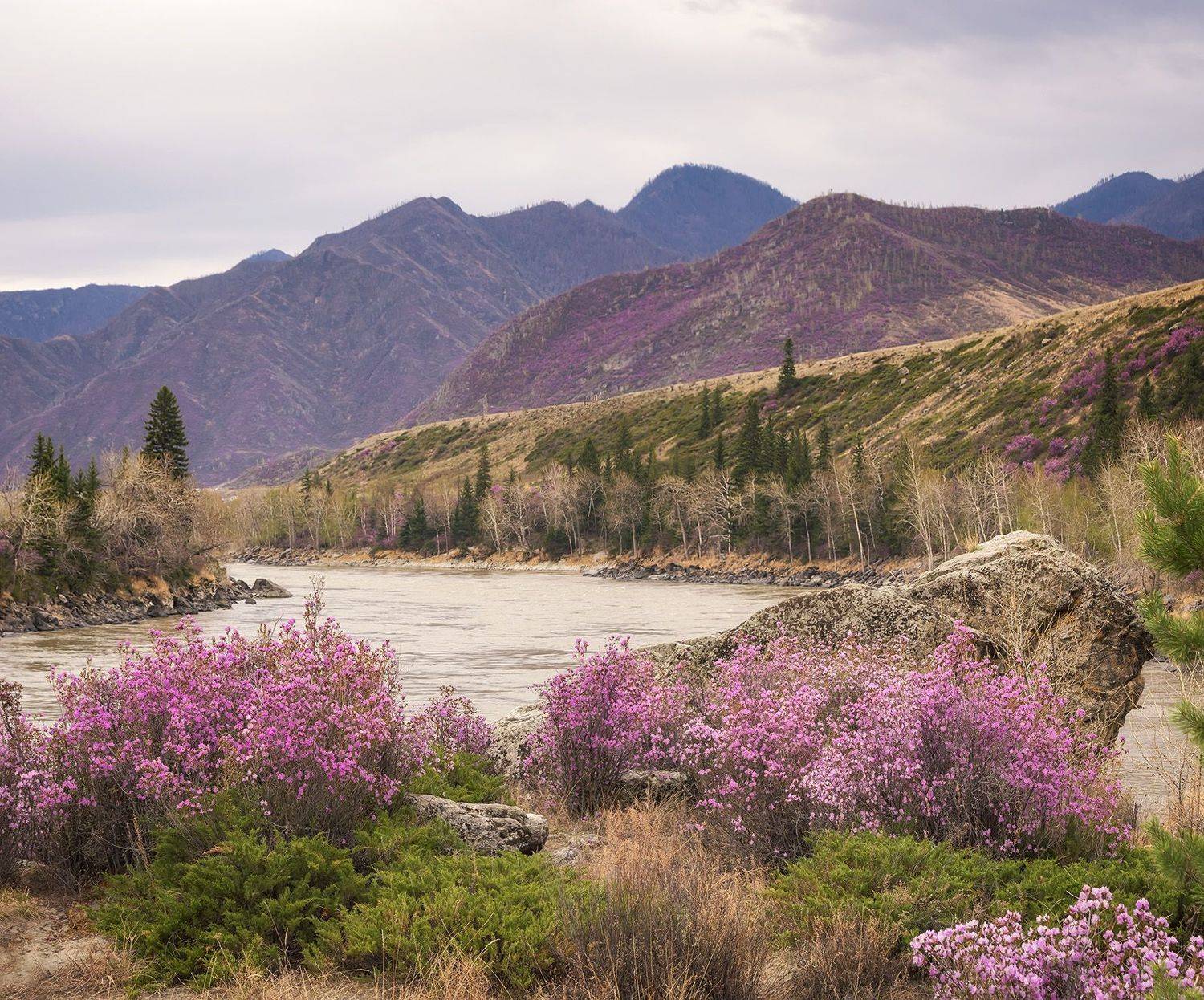 , Лещёнок Александр