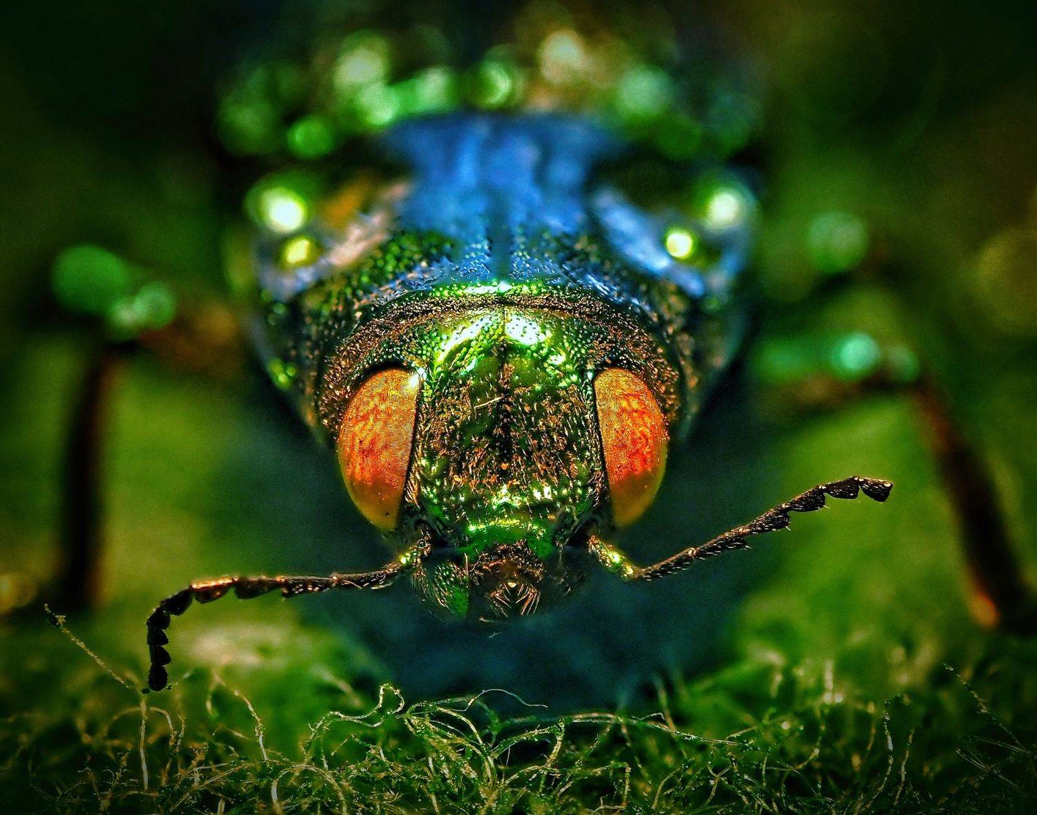 , Савчук Анатолий