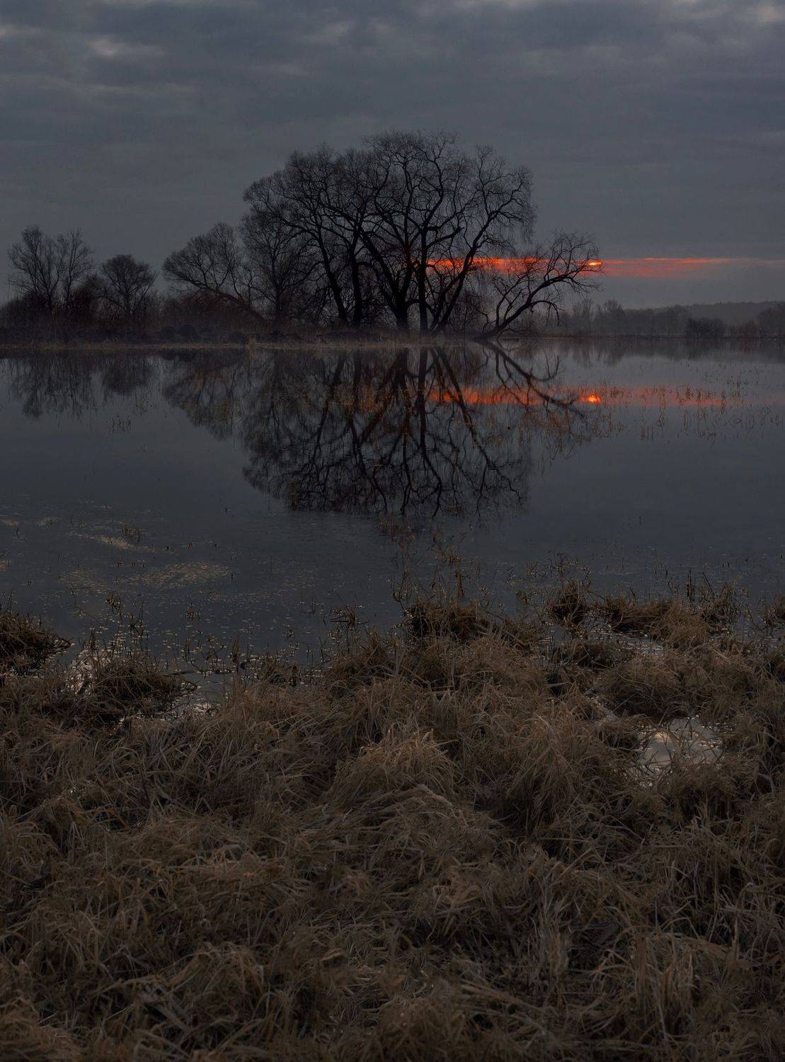 , Баранов Олег