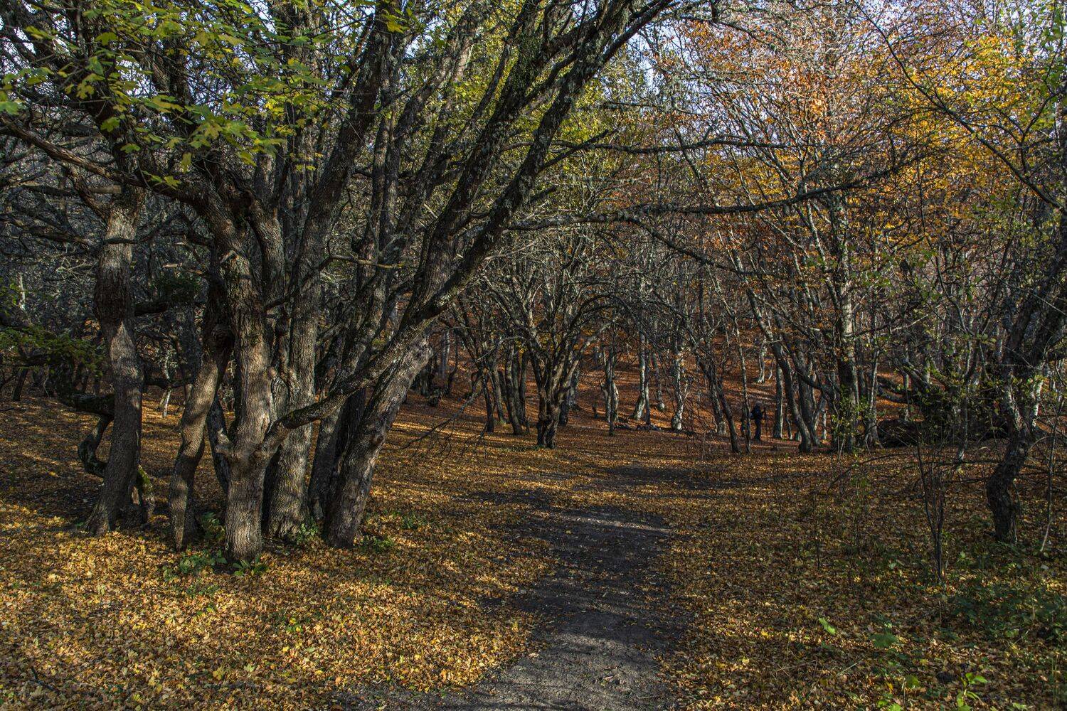 Крым, Сергей