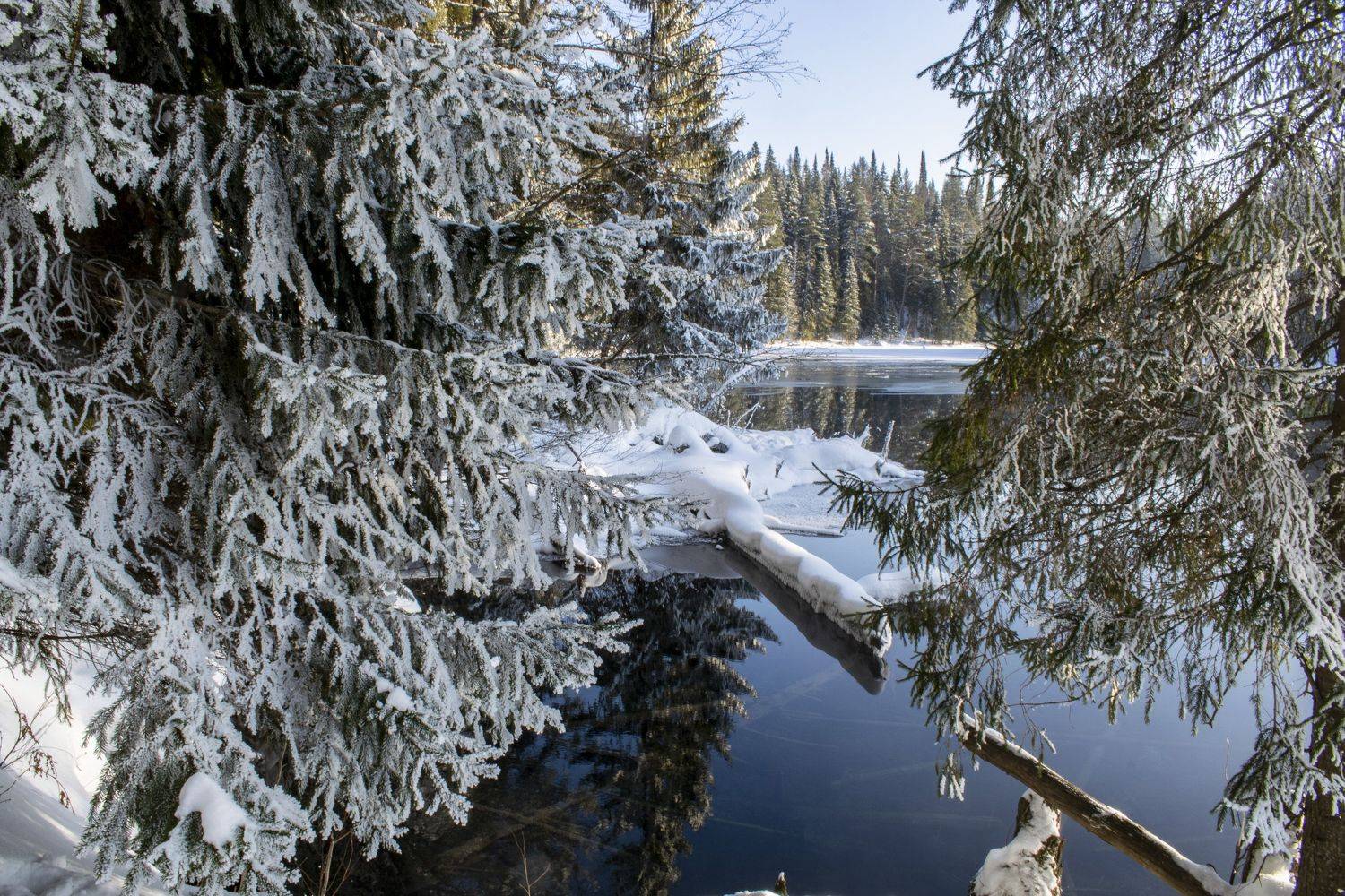 , Галина Луценко
