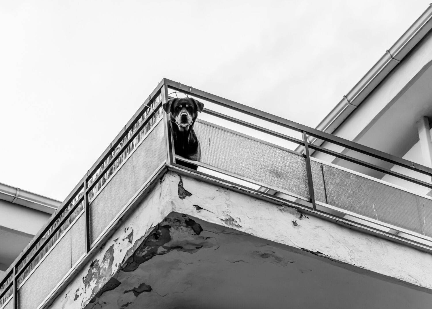 , Шилов Александр