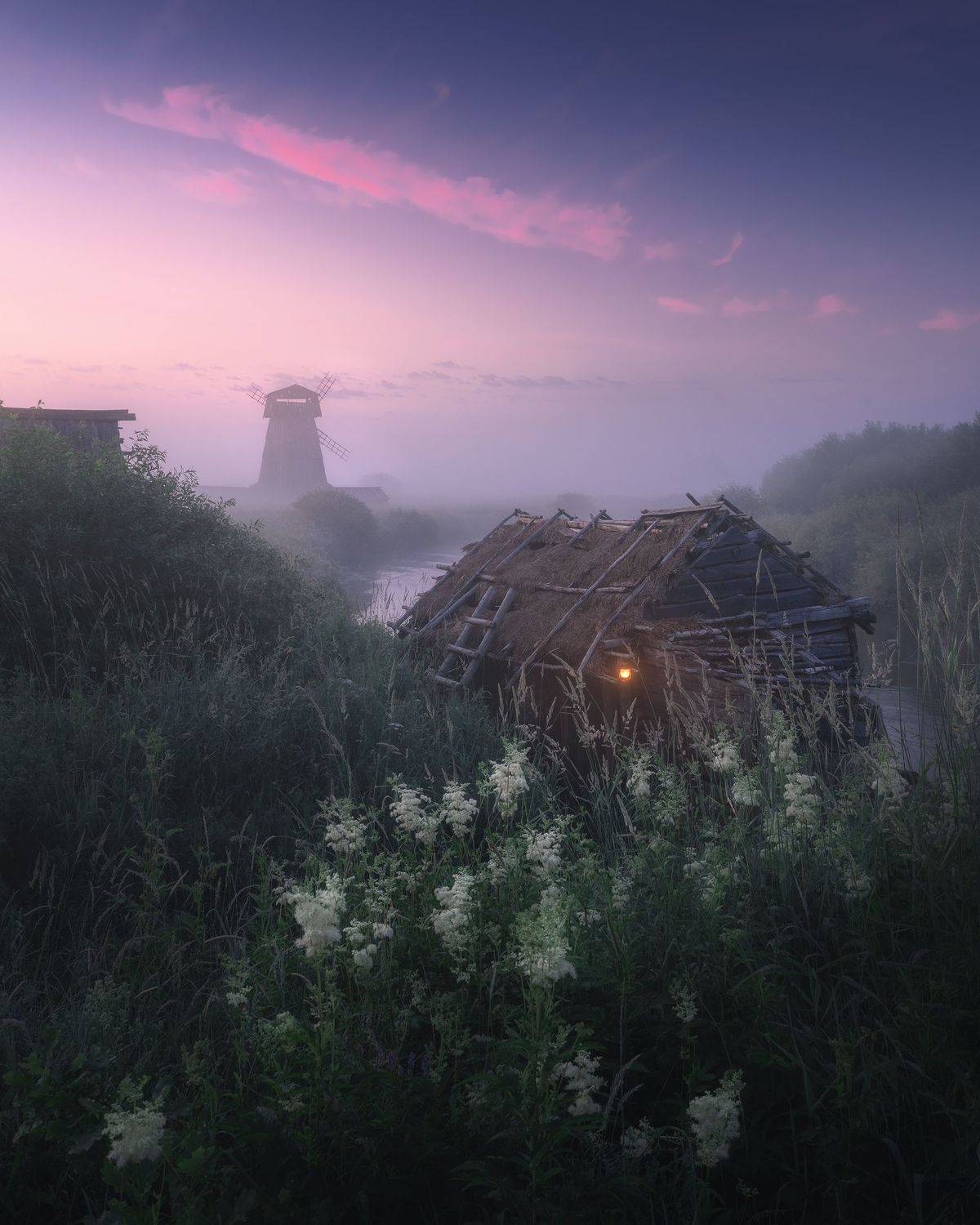 , Политова Анна