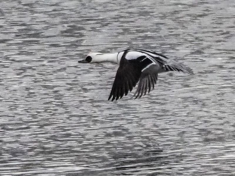 полет фото превью
