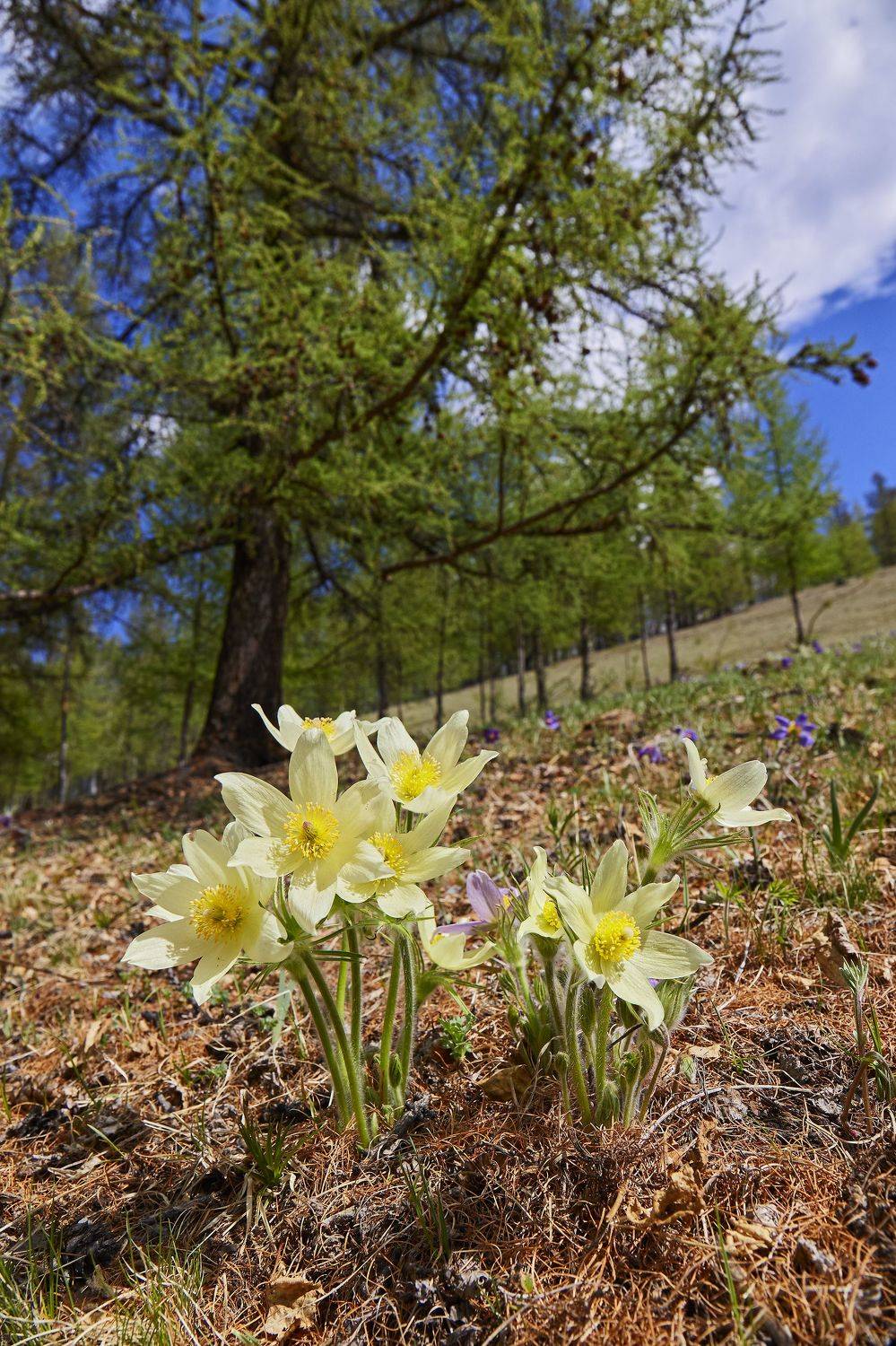 , Байбородин Михаил
